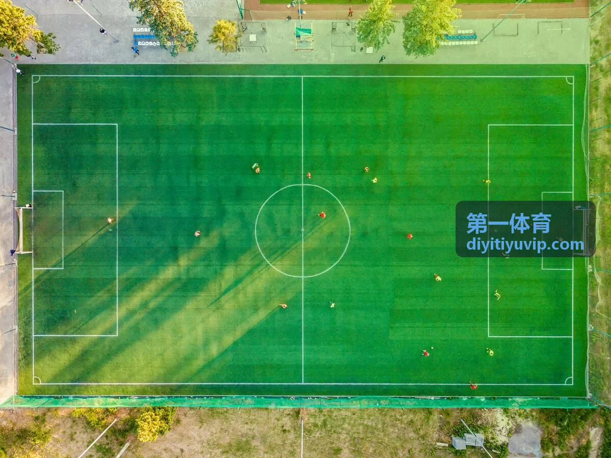 第一体育企业体能管理平台